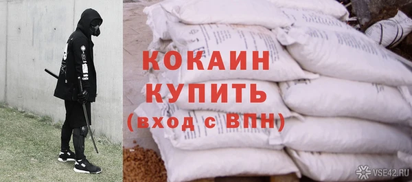 COCAINE Богородицк