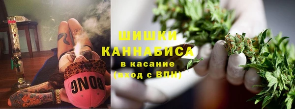 прущая мука Богородск